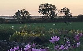 Dale View Bed & Breakfast